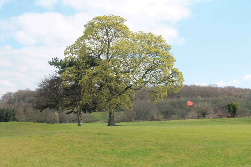 Clandon Golf Club
