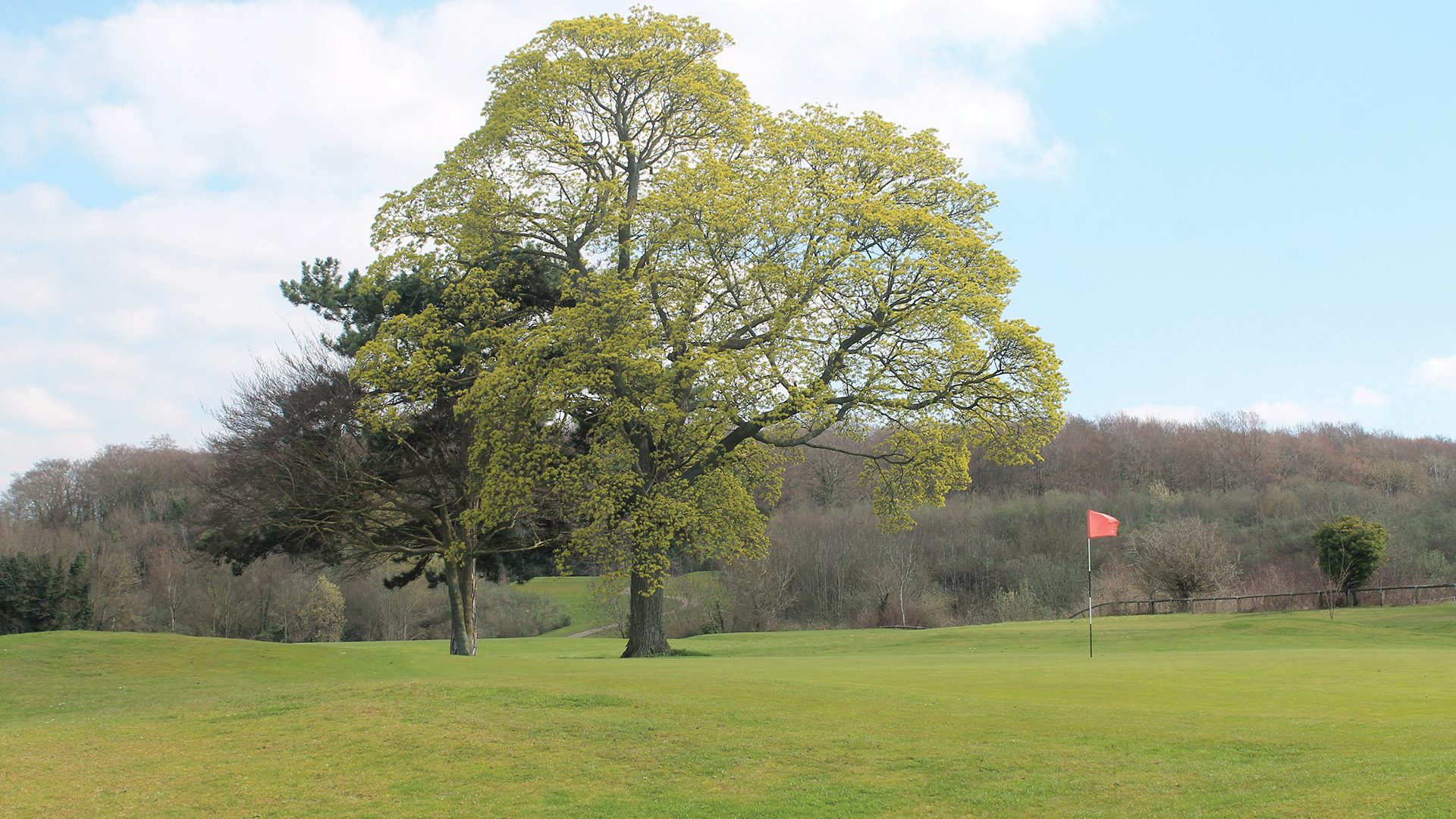 Clandon Golf Club