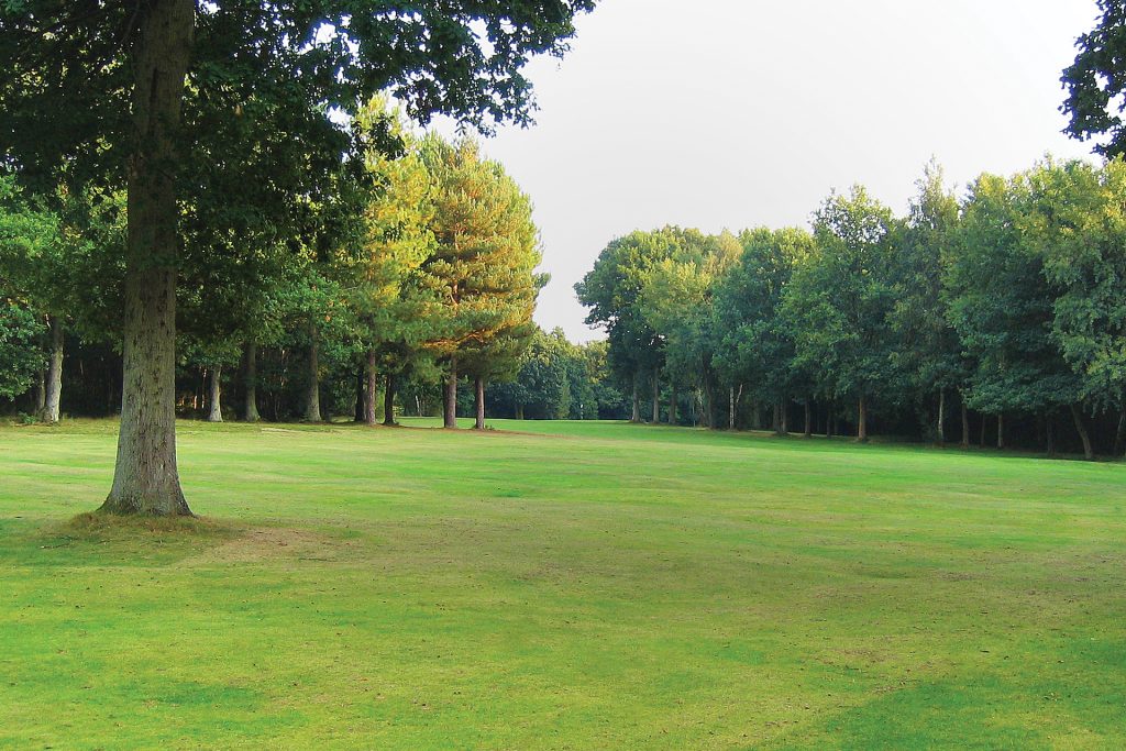 Lingfield Park Golf Club